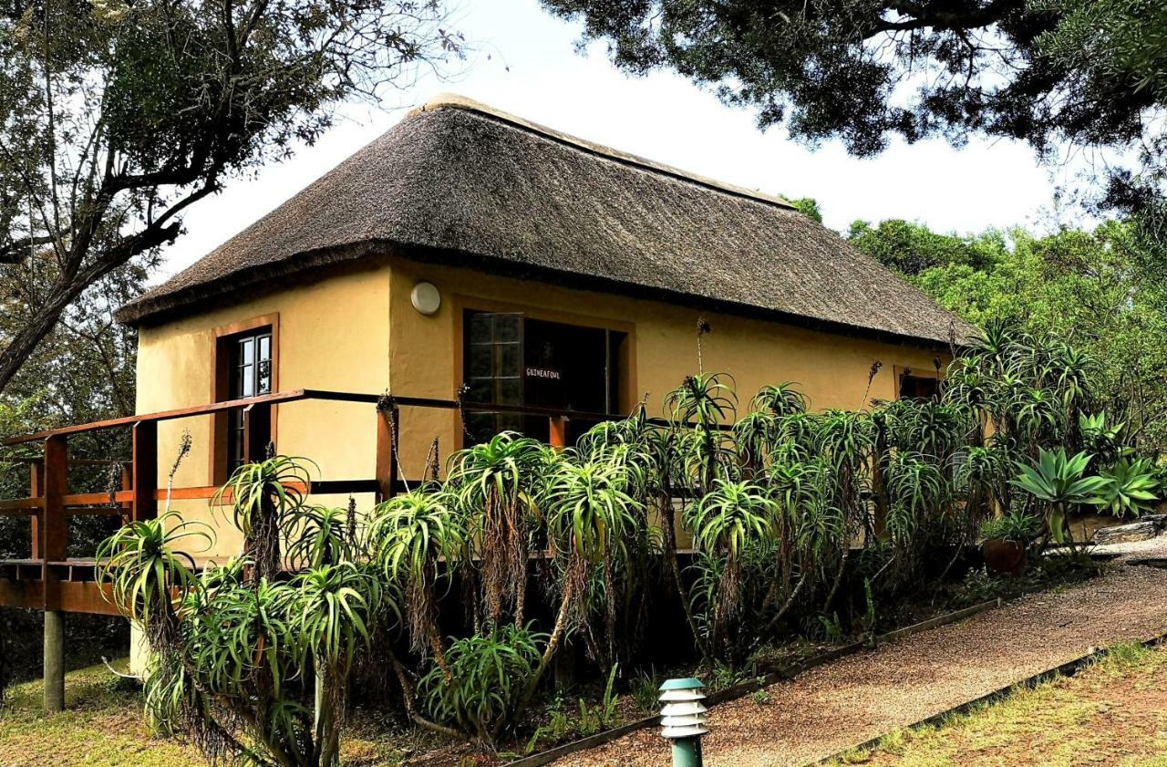 Hostel Fairy Knowe Backpackers Wildernis Zewnętrze zdjęcie